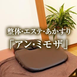 整体・エステ・あかすり「アン・ミモザ」
